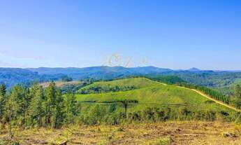 Imagem: Campo Largo, à 6 km do asfalto, 111 alqueires