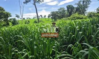 Imagem 3: Fazenda 76 alqueires (370 hectares) São Francisco - MG