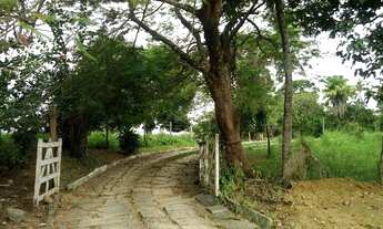 Imagem: Chácara com terreno de 14000 metros quadrados