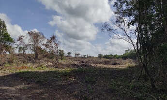 Imagem 6: 50 hectares na estrada de igarapé açu por 400 mil reais documentada