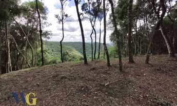 Imagem 5: Chácara para Venda em Campo Largo, Estrada da Faxina/Taquaral