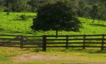 Imagem 2: Fazenda em Rorainópolis 700 Cabeça de Gado ?