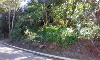 Imagem 3: Terreno Costa de Cima