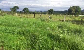 Imagem 7: Vende-se uma excelente fazenda de 123 Alqueires