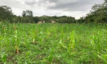 Imagem 4: Lindo baixadão de 20 mil metros (Temos varias opções)