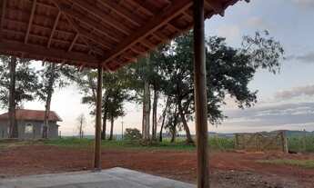 Imagem 6: Lindo Sitio em Godoy Moreira, São João do Ivaí, Boa Rentabilidade Gado e Soja