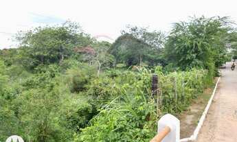 Imagem 5: Vendo 8,3 Mil Metros em Rusinha -Gravatá -PE Ref 448