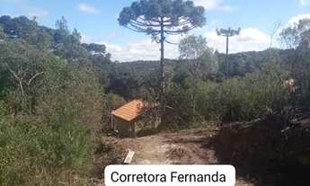 Imagem 2: Ótima chácara completa