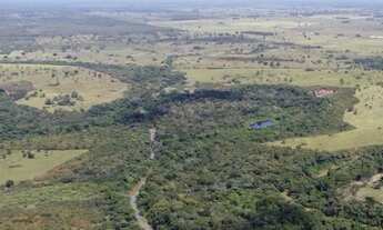 Imagem 2: Fazenda em Flores de Goiás (1.033 ha