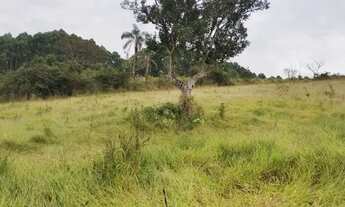 Imagem 7: Sitio com 1.5 Alqueires em Muzambinho