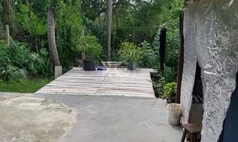 Imagem 5: Csaa no bairro Camaquã