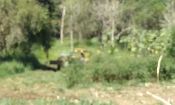 Imagem 4: Chácara com 2.300 metros em Capitólio - Divino