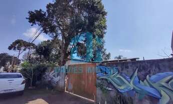 Imagem 7: Terreno à venda em Pinhais | 346m² | Uso Residencial e uso Comercial