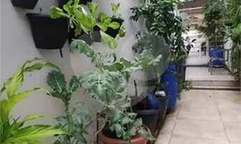 Imagem: Casa 03 dormitórios para venda no Jardim