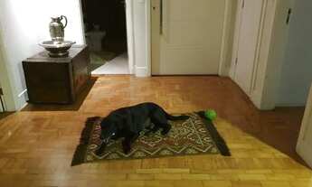 Imagem 6: SÃO PAULO - Apartamento Padrão - JARDINS