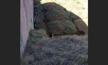 Imagem 7: Terreno à venda em B.JPerdões/SP