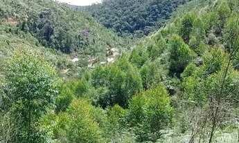 Imagem 2: Chácaras Chácara com venda por R$8.000