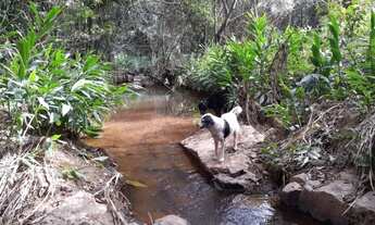 Imagem 6: Chácara com 2.300 metros em Capitólio - Divino