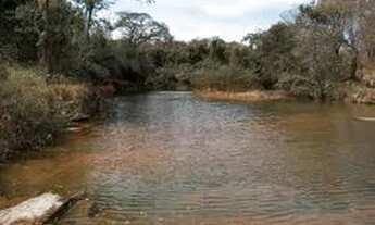 Imagem 6: Citio a venda Terreno / lote com venda por R$70.000