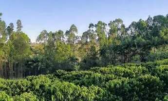 Imagem 3: Sitio com 1.5 Alqueires em São Sebastião do Paraiso com Café - Pablo