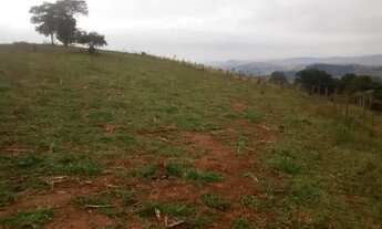 Imagem 3: Sitio de 20 alqueires em Lagoinha, a 700 metros da Rodovia