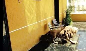 Imagem 5: Permuto casa em Colombo,C/1suite hidro dupla,+3 quarto,piscina 4x8 aquacida,terreno/Grande