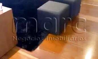 Imagem 2: SAO PAULO - Casa Padrão - JARDIM DA GLORIA