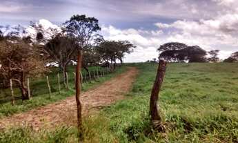 Imagem: Terreno 02 hectares em Sairé