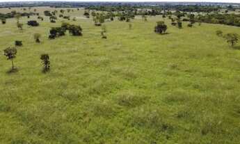 Imagem 6: Fazenda em Flores de Goiás (1.033 ha