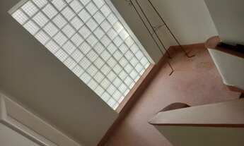 Imagem 7: Amplo 4/4 com excelente localização no Canela