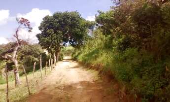 Imagem 4: Terreno 02 hectares em Sairé