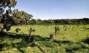 Imagem: Fazenda de 61 Alqueires ! Região de Estrela