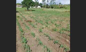 Imagem 2: Terreno melhor da região