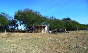 Imagem 5: Sítio 10,0 hectares, 100% plano, casa, barracões, 32 km Uberlândia MG