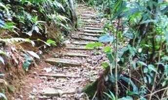 Imagem 6: Apartamento com 4 dormitórios à venda, 91 m² por R$ 530.000,00 - Vila Guarani - Nova Fribu