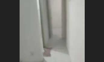 Imagem 2: Apartamento para locação