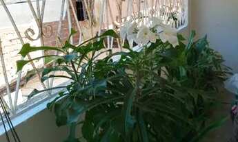 Imagem 2: ?Vendo casa duplex valor.125,000