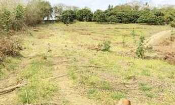 Imagem 4: A26-Venha conhecer esse novo empreendimento fechado sem taxa de condominio e documentaçao