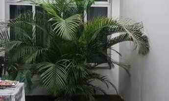 Imagem 6: Casa Sobrado em Planalto Paulista - São Paulo