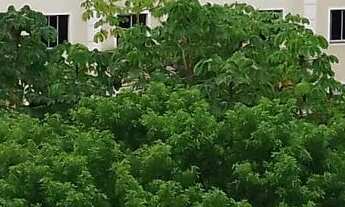 Imagem 7: Apartamento para aluguel com 45 metros quadrados com 2 quartos