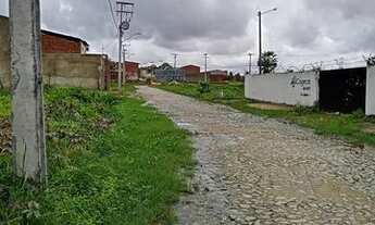 Imagem 5: Loteamento Nova Jurema Pronto Para Construir A Sua Casa Perto De Tudo. n°:0. *103