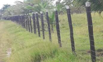 Imagem 3: Sítio da amizade