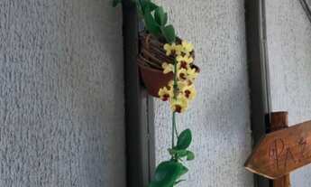 Imagem 7: Aluguel de kitnet com tudo incluso