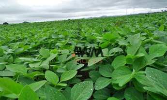 Imagem 7: Fazenda à venda, 18972800 m² por R$ 40.000.000,00 - Centro - Niquelândia/GO