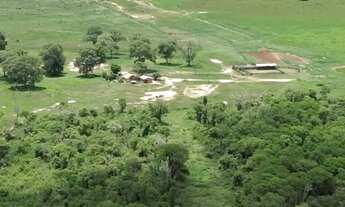 Imagem 3: VENDO FAZENDA PANTANAL POCONÉ 4.263 HAC