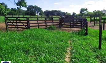 Imagem 6: Fazenda à Venda em Morrinhos (GO) 128 Hectares - Estrutura Completa