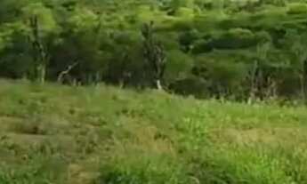 Imagem 3: Oportunidade localização privilegiada para venda Chácara