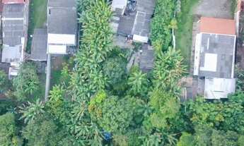 Imagem: Arniqueira - Lote grande