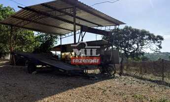 Imagem 5: Chácara 2 alqueires (9,68 hectares) Vianópolis - Go
