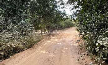 Imagem 5: Chácara Terra Mãe